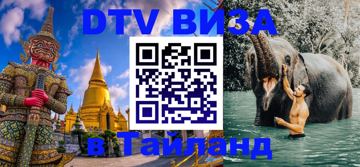 Оформление DTV визы под ключ: стоимость и тарифы, только загранпаспорт - 